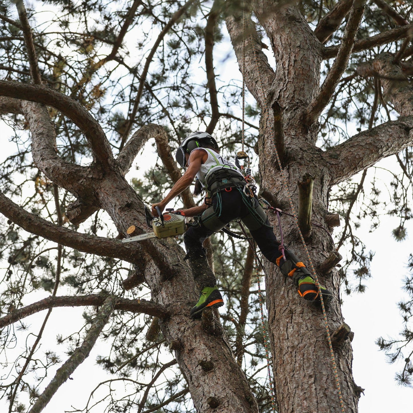 AT4070(F) Breatheflex Pro Women's Chainsaw Trousers Class 1 / Design C - Black