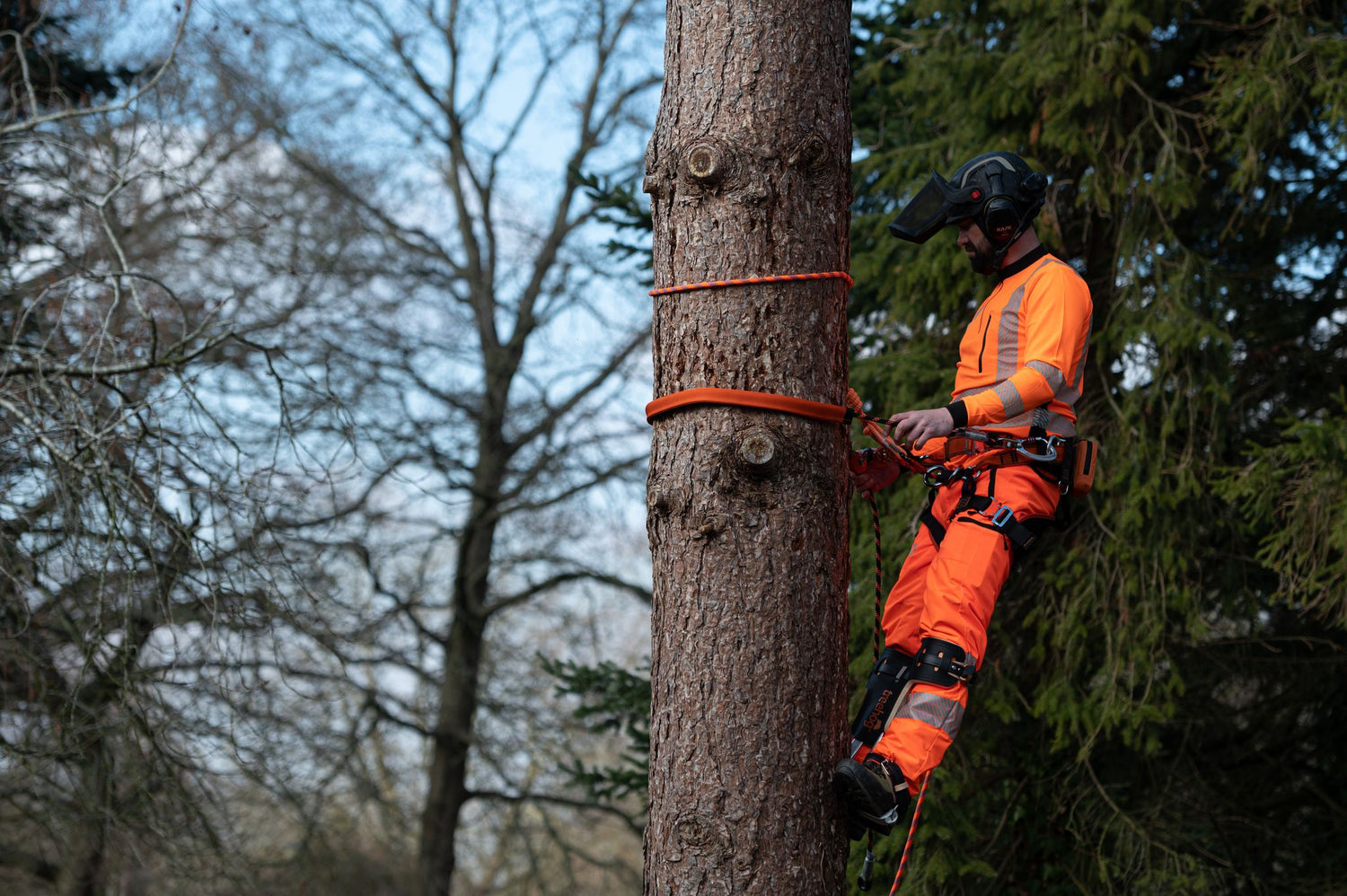 Treehog Rigging Equipment