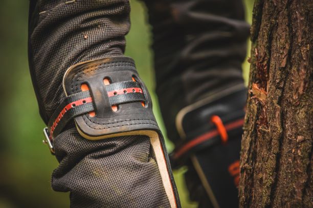 Treehog Spikes and Kits