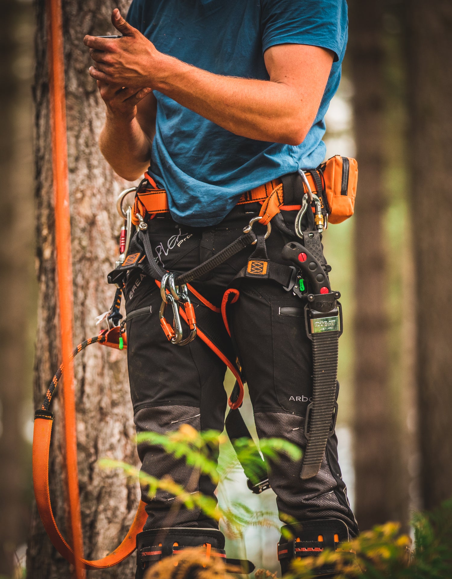 Official Treehog collection image featuring an orange climbing harness