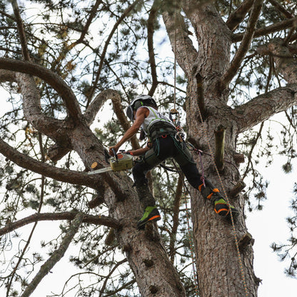 AT4070(F) Breatheflex Pro Women's Chainsaw Trousers Class 1 / Design C - Black